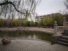 -山东理工大学