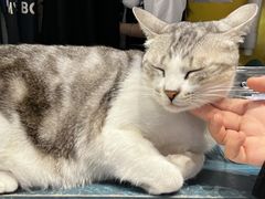 -谜盒子奇幻密室(南屏店)