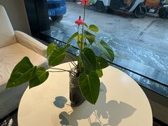 -不晚酒店(苏州观前平江路店)