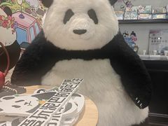 -轩客会(熊猫书店)