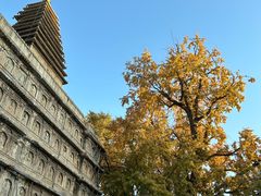 -北京石刻艺术博物馆(五塔寺)