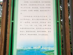 -立新湖公园