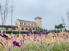 -府河摄影公园