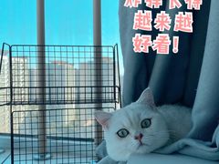 -美迦爱-牙专科·兔科·骨科诊疗中心(北苑店)