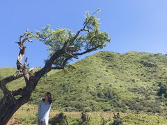 -石棉县孟获城