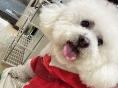 -北京观赏动物医院·24小时大型综合·猫专科·异宠专科