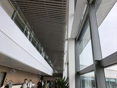 -青岛胶东国际机场