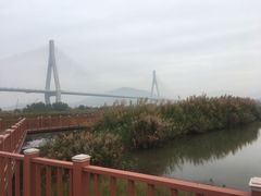 -芒洲湿地公园