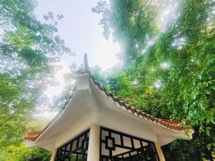 -火炉山森林公园