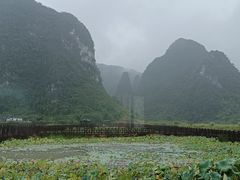 -钟山水墨田园
