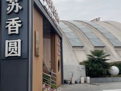 -丁老爷子苏香圆