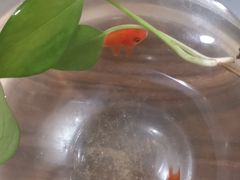 -三承堂经络·艾灸养生馆