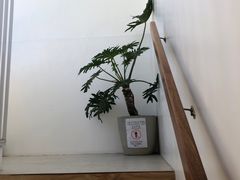 -The Sunny Side Cafe Station 1