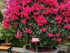 -张江润和国际总部园