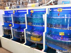 水产区-汤记传菜(浦江店)