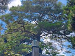-京都御所