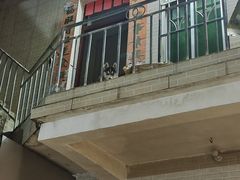 -黎记大排档(慈云路店)