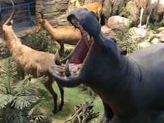 -陕西自然博物馆