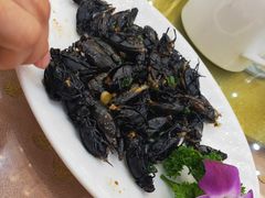 -轩记海鲜餐厅·四十五年老字号·经典粤菜(西区彩虹店)