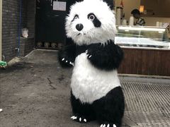 -奎星楼街