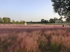 -汉长安城未央宫国家考古遗址公园