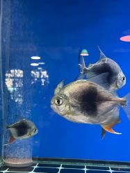 -青木造型HAIR·あおき髪を刈る潮人店