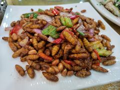 椒盐蚕蛹-九大簋家宴(晓港湾店)