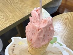 -野人先生Gelato(上海长宁龙之梦店)