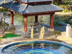 -罗浮山嘉宝田森林温泉度假酒店