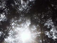 -三门江国家森林公园