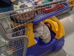 -麦德龙(闵行店)