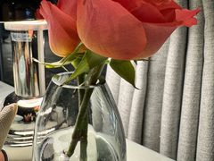 -芙蓉堂(武汉天地店)