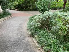 -成都市活水公园