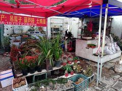-长兴慧子土特产茶行