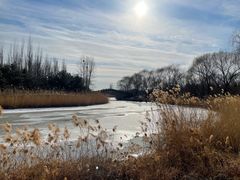 -大兴滨河森林公园