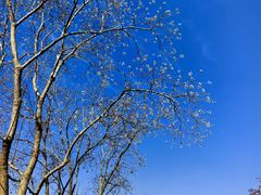 -祝甸砖窑文化馆