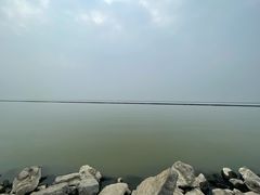 -合肥滨湖国家森林公园