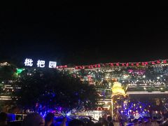 -枇杷园食为鲜火锅(南山店)
