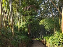 -乌石村
