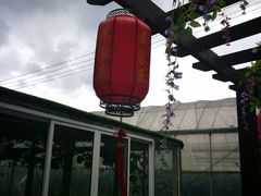 -美家乐农庄·露营·团建(大治路店)