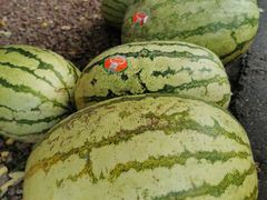 -穆豪麦蒸碗羊羔肉