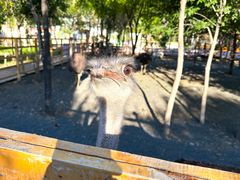 -水上乐园·欢乐世界