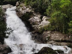 -海南热带雨林国家公园吊罗山景区