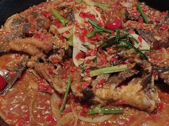 -老板恋上鱼(恒隆广场店)