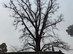 -金堂县云顶石城风景区