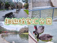 -徐家汇公园