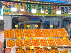 -西归浦每天偶来市场