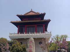 -华西村