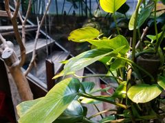 -渔太泰漓江小馆·广西融合菜(西街店)