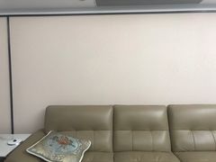 -深圳绿色亿家专业除甲醛